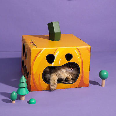 Juguetes Corrugados para Gatos Temática Halloween - Image 3