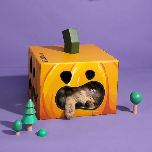 Juguetes Corrugados para Gatos Temática Halloween - Image 3