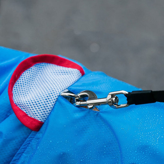 Impermeable para Perros Medianos y Grandes - Protección Total de 4 Patas - Image 3