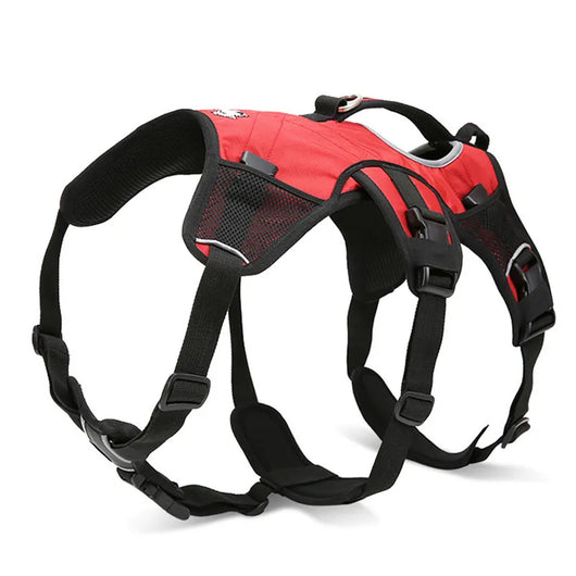 Mochila de Entrenamiento para Perros - Arnés de Carga Deportivo - Image 19