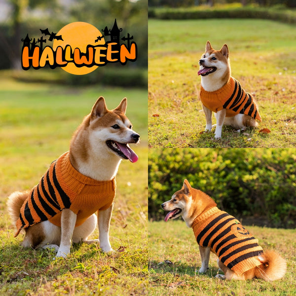 Suéter de Halloween para Perros - Disfraz Cálido y Cómodo