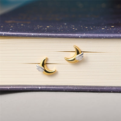 Aretes de Plata 925 Alas de Luna - Sueños Hechos Realidad - Image 11