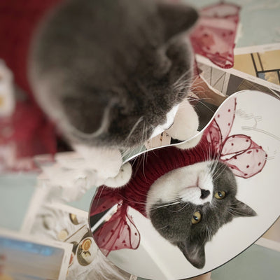 Suéter Abrigador para Mascotas - Diseño Adorable para Invierno - Image 4