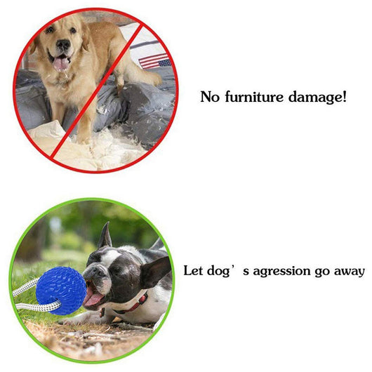 Juguete Mordedor para Perros con Ventosas de Goma - Image 9