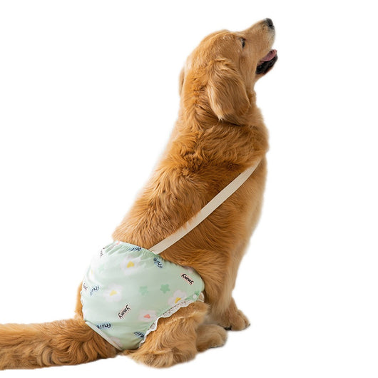 Pantaletas Menstruales Absorbentes Big Dog - Protección Cómoda Todo el Día - Image 5
