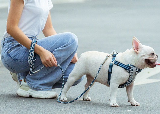 Cuerda de Paseo Floral para Perros con Asas de Mano - Image 4