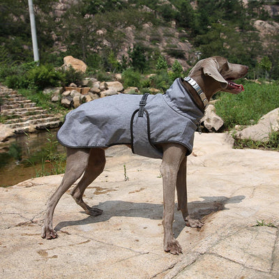 Abrigo Impermeable para Perros - Traje de Esquí Invernal - Image 6
