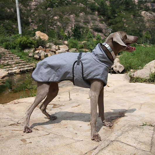 Abrigo Impermeable para Perros - Traje de Esquí Invernal - Image 6