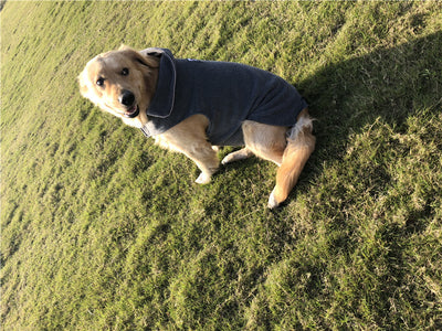 Chaleco Térmico Reversible para Perros - Ropa de Abrigo Otoño Invierno - Image 15