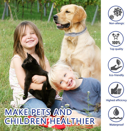 Collar Antipulgas y Antimosquitos para Perros - Image 9