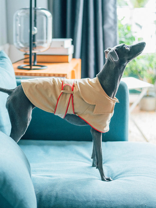 Abrigo de Algodón 100% para Perros - Ropa Cómoda y Práctica - Image 12