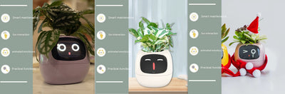 Maceta Inteligente con IA: 49 Expresiones y 7 Sensores para Plantas Felices - Image 55