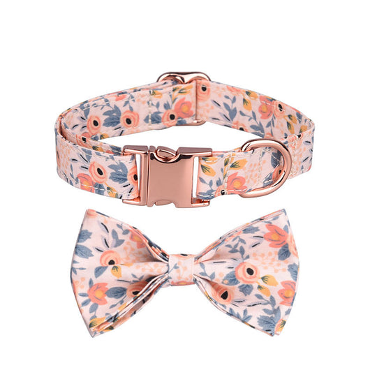 Juego de Collar y Correa Personalizado para Mascotas - Image 28