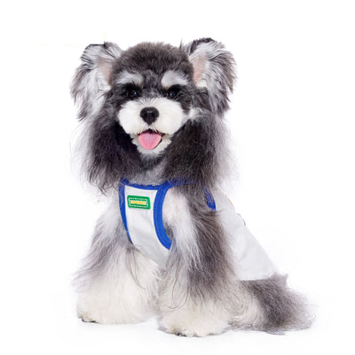 Top Deportivo Fresco para Perros Pequeños - Bichón Maltés Verano - Image 4