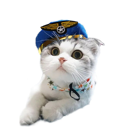 Gorro Rizado Divertido para Mascotas - Disfraz Cómico para Gatos y Perros - Image 40