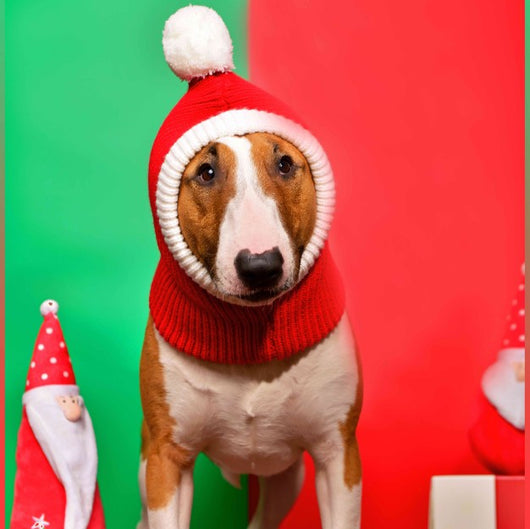 Gorro de Lana para Mascotas - Diseño Elegante Otoño e Invierno