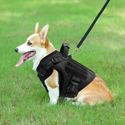 Chaleco Táctico Impermeable para Pastor Alemán con Correa de Pecho a Prueba de Explosiones - Image 2