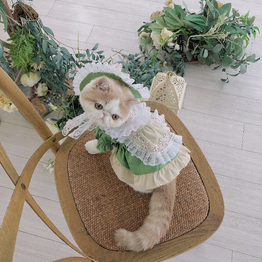 Disfraz Lolita para Mascotas - Traje de Sirvienta con Sombrero - Image 5
