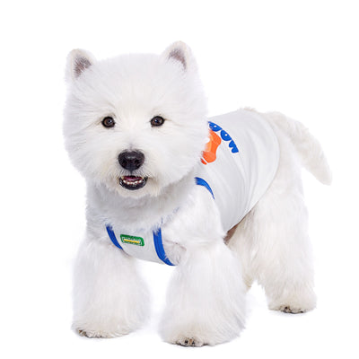 Top Deportivo Fresco para Perros Pequeños - Bichón Maltés Verano - Image 3