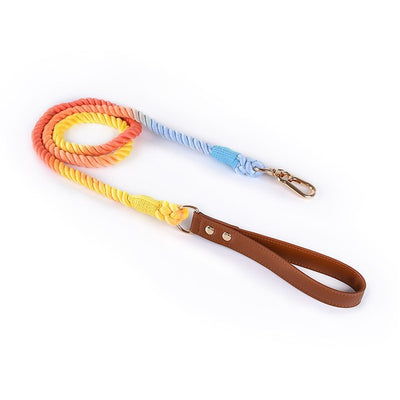 Juego de Collar y Correa para Perros Medianos y Grandes en Cuero y Algodón Tejido - Image 24