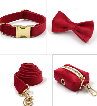 Collar y Correa para Mascotas en Terciopelo Gris Oscuro - Image 18