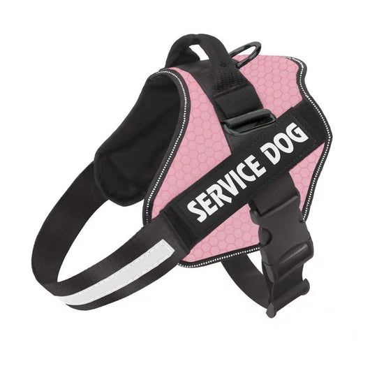 Arnés de Pecho Fashion para Perro con Correa Integrada - Image 9