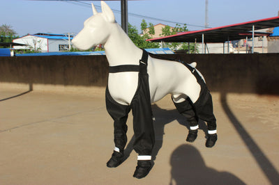 Protectores de Patas Impermeables para Perros - Zapatos Antideslizantes - Image 10