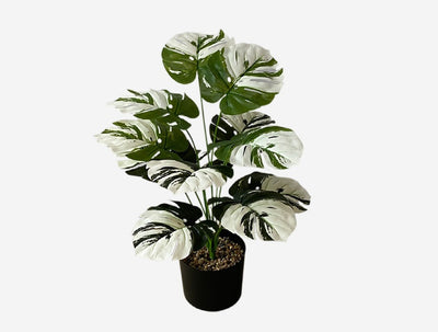 Planta Artificial Decorativa Tortuga - 12-24 Cabezas Verdes para Pared y Jardín - Image 21