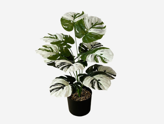 Planta Artificial Decorativa Tortuga - 12-24 Cabezas Verdes para Pared y Jardín - Image 21