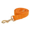 Dog leash1