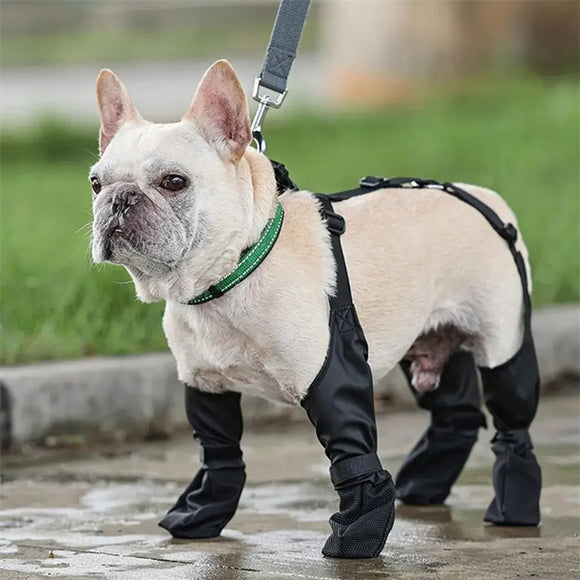 Botas Impermeables para Perros con Ajuste Seguro - Protección Patas Respirable