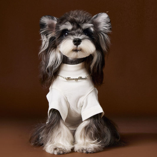 Camisa Interior Teddy Schnauzer - Diseño Elegante con Cuello de Dos Patas