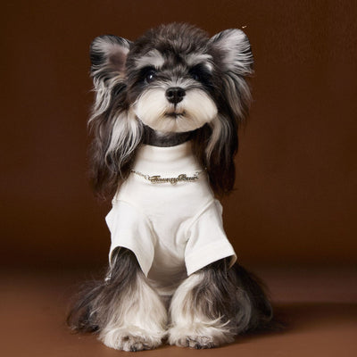 Camisa Interior Teddy Schnauzer - Diseño Elegante con Cuello de Dos Patas