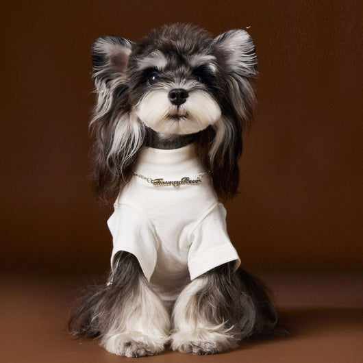 Camisa Interior Teddy Schnauzer - Diseño Elegante con Cuello de Dos Patas