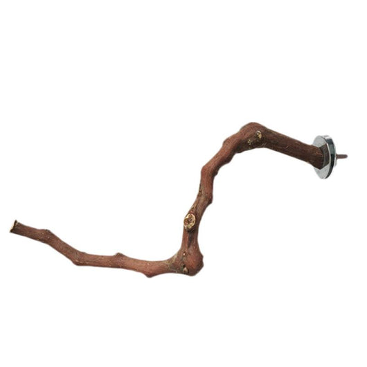 Natural grape wood bird perch with a unique curved branch shape and metal attachment for cage installation. - Image 15