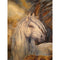 C Quadrado 15 X 20 Cm