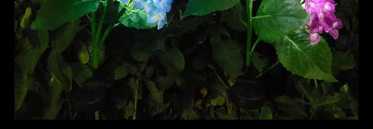 Luces Solares Decorativas para Jardín con Toma de Corriente - Image 29