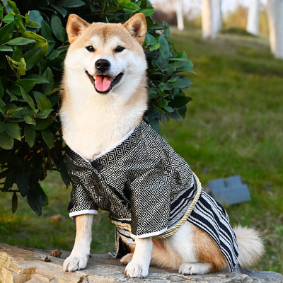 Ropa Samurái Zephyr para Perros - Estilo y Comodidad - Image 9