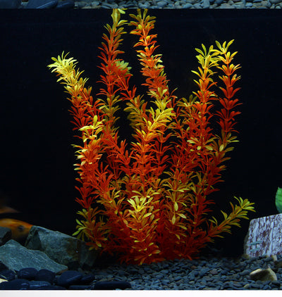 Paquete de Plantas Acuáticas Amarillas para Decoración de Acuarios - Image 9