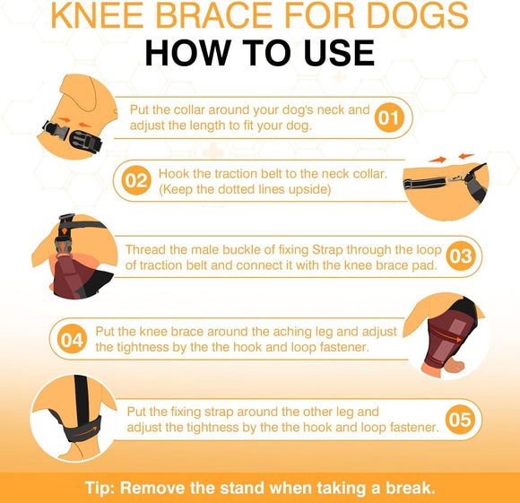 Protector de Rodilla para Perros - Soporte Articular y Cinturón de Protección