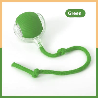 Blue and grey pet toy ball with a green textured tail for cats, shown on a blue background. - Image 12