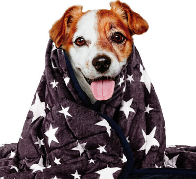Manta Calmante para Perros con Tecnología Anti-Ansiedad - Image 4