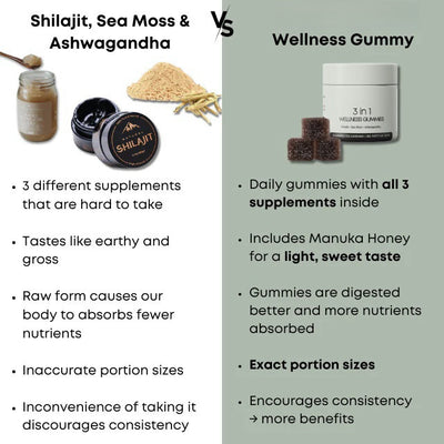 Caramelos Masticables Shilajit 3 en 1 para Hombres - Image 11