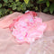 Set de Accesorios Infantiles: Collar, Pulsera, Pasador y Anillo