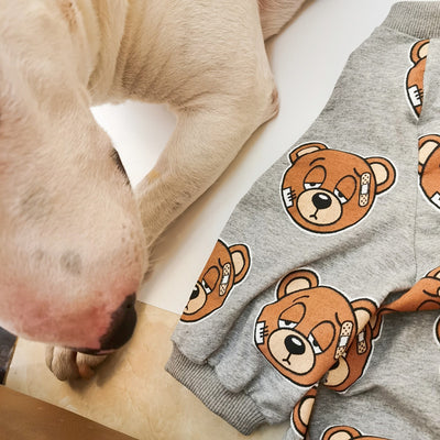 Playera para Mascota con Estampado de Osito Adorable - Image 5
