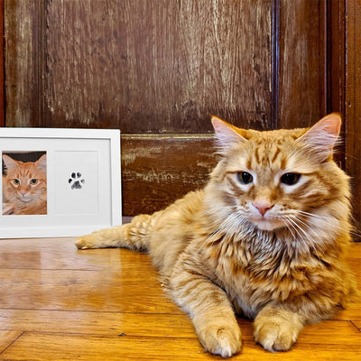 Álbum de Huellas Dactilares para Mascotas y Niños - Tarjetas DIY Memorables - Image 7