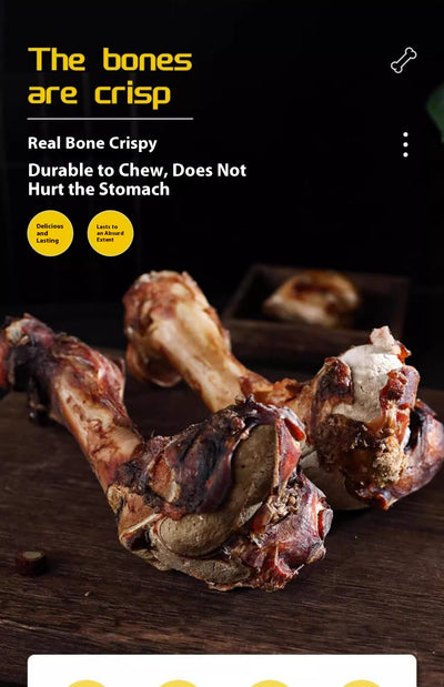 Juguete Masticable para Limpiar Dientes de Cachorros y Perros Pequeños - Image 15