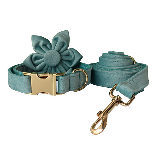 Collar de Perro Franela Verde Lago con Herraje Dorado - Image 4