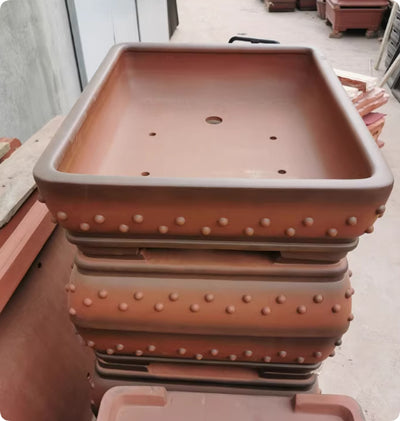 Maceta Rectangular Grande para Bonsái en Arcilla Púrpura - Image 7