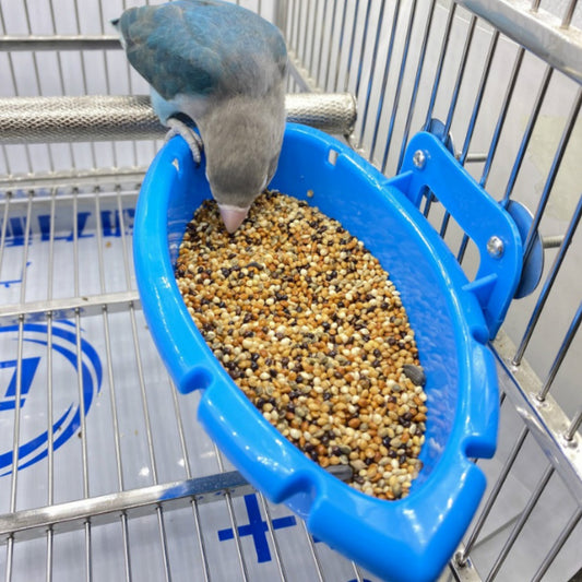 Comedero y Baño Multifuncional para Aves